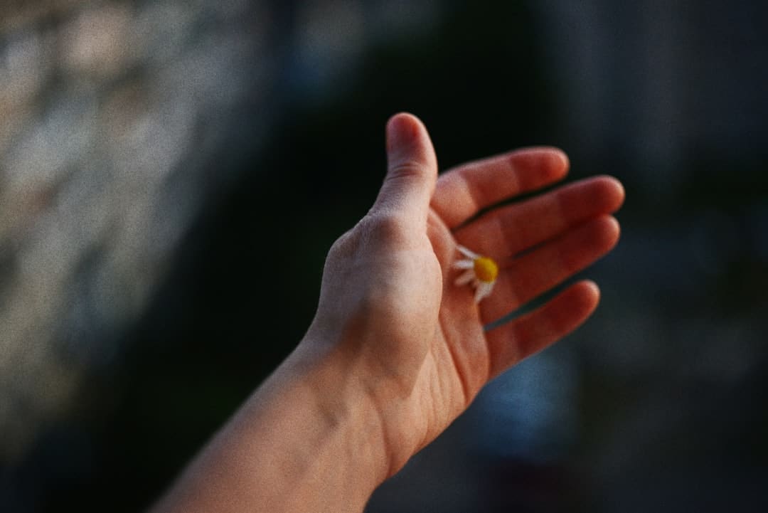 秀恩爱的朋友圈越来越少了 不是爱情变淡，是咱们更懂“爱”了